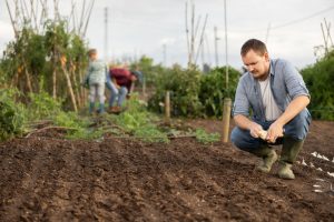 10 Garden Expenses That Aren’t Worth Paying for in September