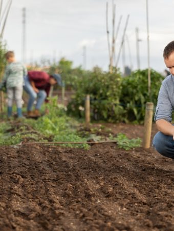 10 Garden Expenses That Aren’t Worth Paying for in September