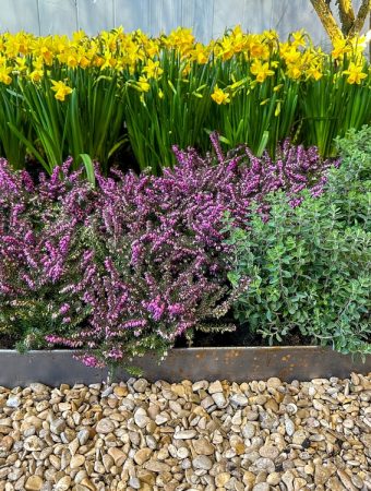 Why Are More Gardeners Designing Fire-Smart Borders?
