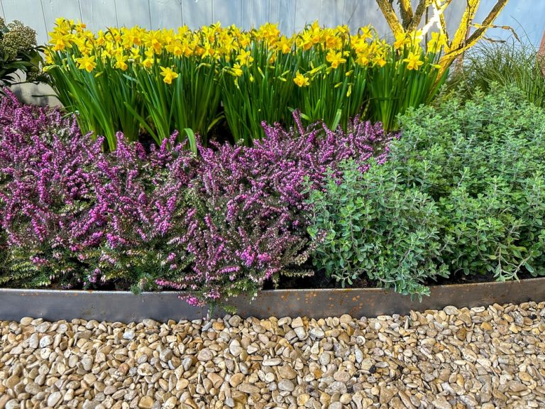 Why Are More Gardeners Designing Fire-Smart Borders?