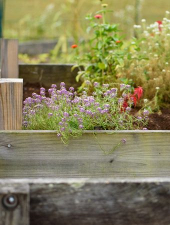 What Should You Do When a Raised Bed Sinks Midseason?