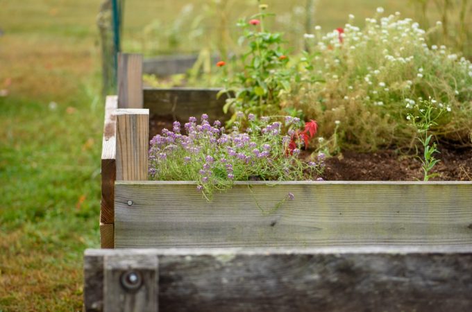 What Should You Do When a Raised Bed Sinks Midseason?