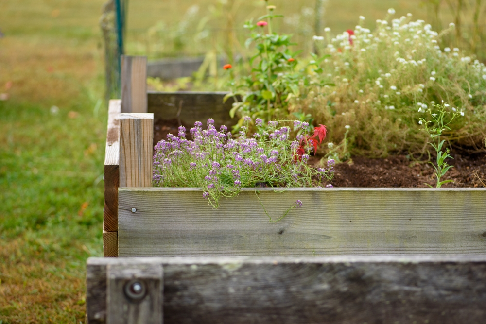 What Should You Do When a Raised Bed Sinks Midseason?