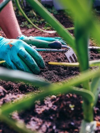 7 Plants You Should Think Twice About Touching With Bare Hands