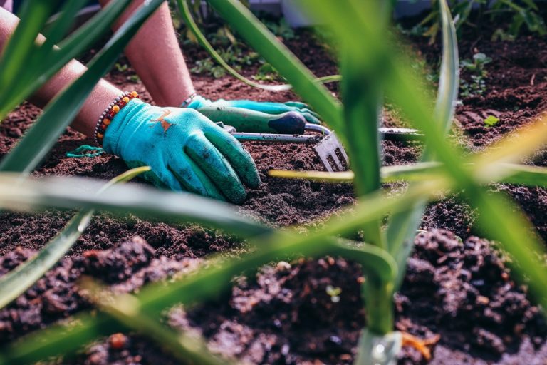 7 Plants You Should Think Twice About Touching With Bare Hands