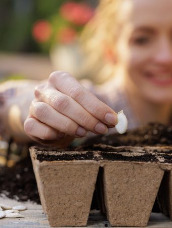 Those Beautiful Seeds You Found Online May Be Fake — Here’s How to Tell