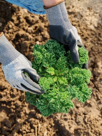 8 Crops That Can Be Harvested Well Into Chilly Weather