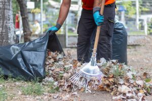 9 Things Gardeners Should Never Throw Away at the End of Summer