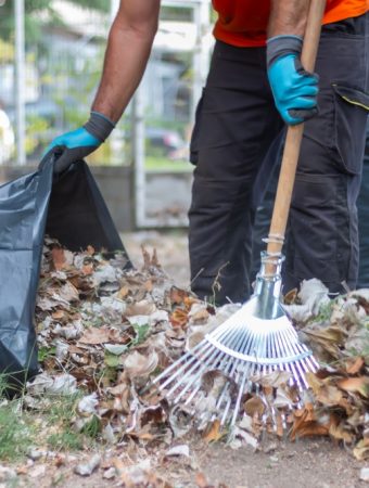 9 Things Gardeners Should Never Throw Away at the End of Summer