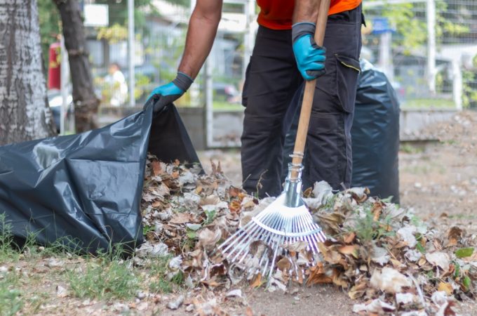 9 Things Gardeners Should Never Throw Away at the End of Summer