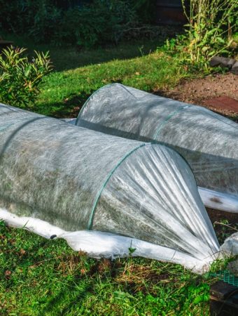 Could a Cold Frame Be Useful Before Cold Weather Arrives?