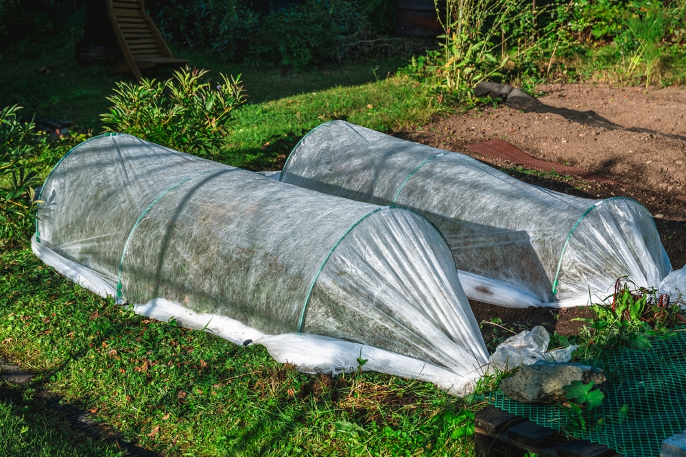 Could a Cold Frame Be Useful Before Cold Weather Arrives?