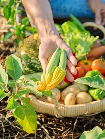 8 Garden Tasks That Become Easier in the Final Week of August