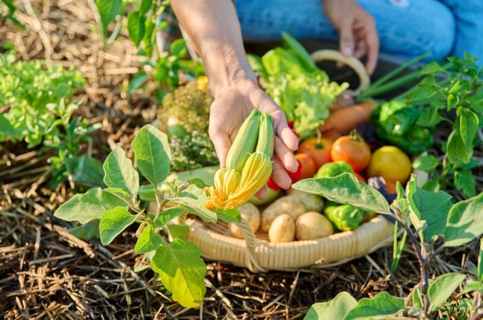 8 Garden Tasks That Become Easier in the Final Week of August