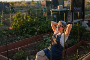 7 Ways to Make a Garden More Useful After Sunset