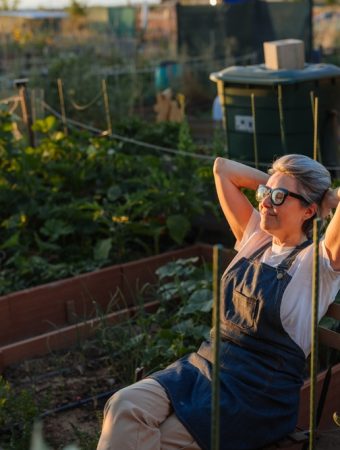 Is Your Garden Ready for Shorter Days and Longer Nights?