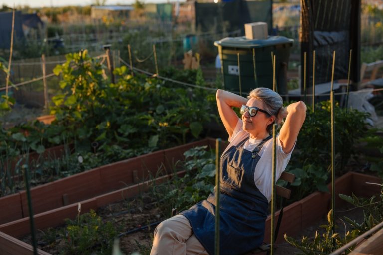Is Your Garden Ready for Shorter Days and Longer Nights?
