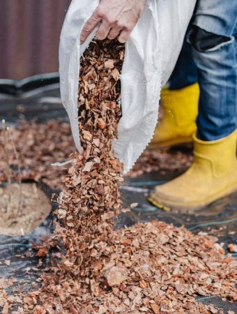 Where Can Gardeners Find Free Mulch in Late Summer?