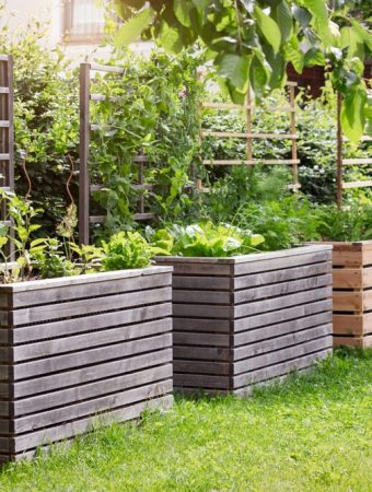 His HOA Approved His Front-Yard Food Forest — Then a New Board Fined Him $750