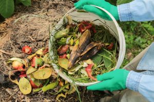 7 Kitchen Scraps That Belong in Compost—and 4 That Do Not