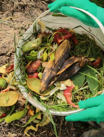 7 Kitchen Scraps That Belong in Compost—and 4 That Do Not