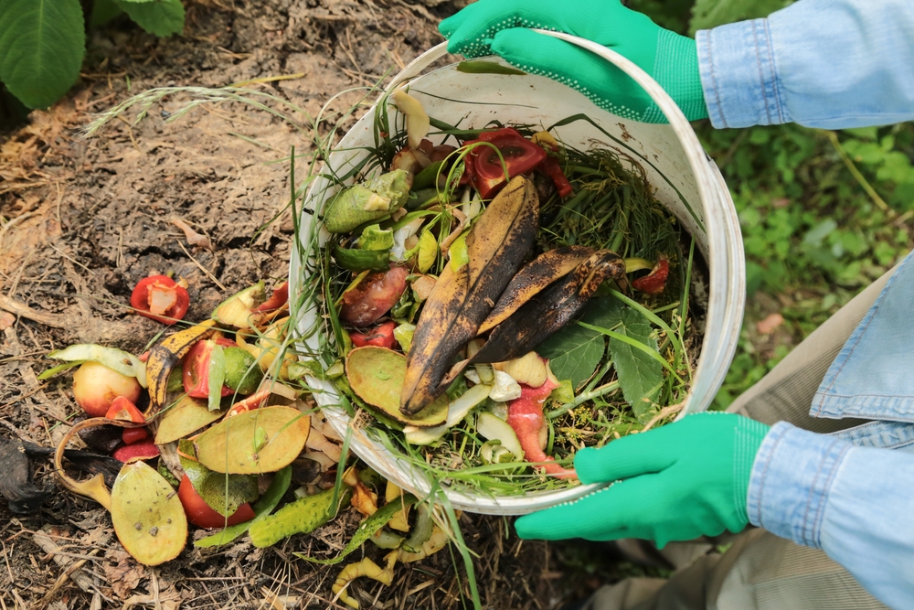 7 Kitchen Scraps That Belong in Compost—and 4 That Do Not