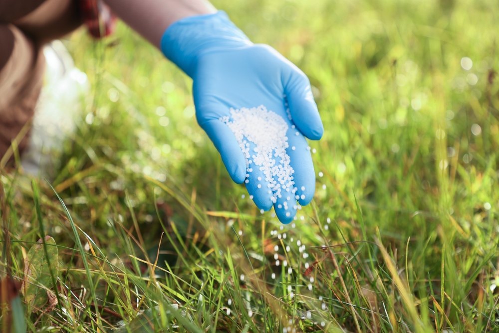 Garden Plants You Should Stop Fertilizing as Summer Ends