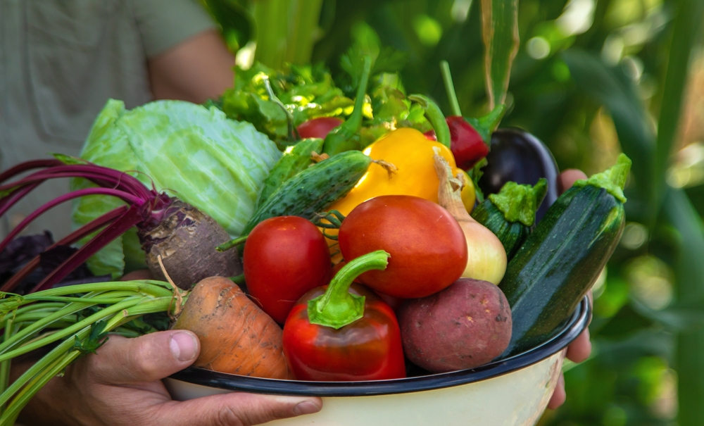 Should You Wash Garden Produce Before Storing It?