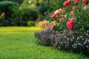 His HOA Said “Flowers Only.” This Gardener Took the Rule Very Literally