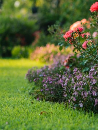 His HOA Said “Flowers Only.” This Gardener Took the Rule Very Literally