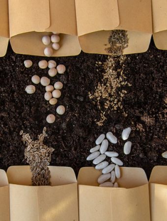 7 Red Flags That an Online Seed Listing May Be a Scam