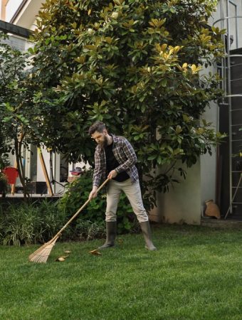 6 August Garden Jobs That Make September Easier