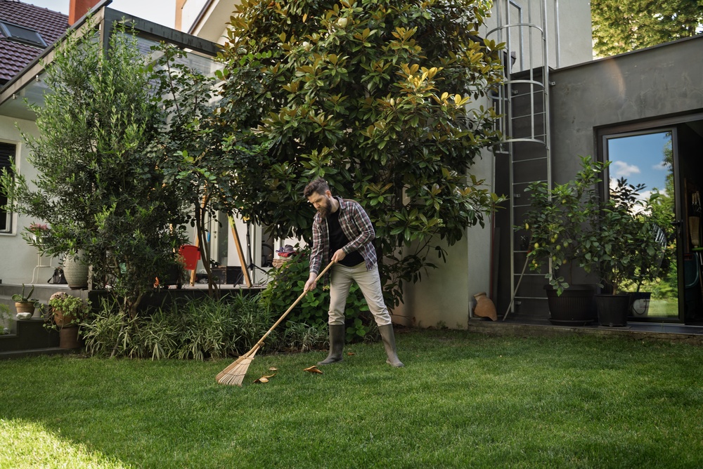 6 August Garden Jobs That Make September Easier