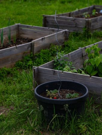 Can You Move a Raised Bed Without Replacing All the Soil?