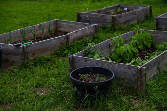 Can You Move a Raised Bed Without Replacing All the Soil?