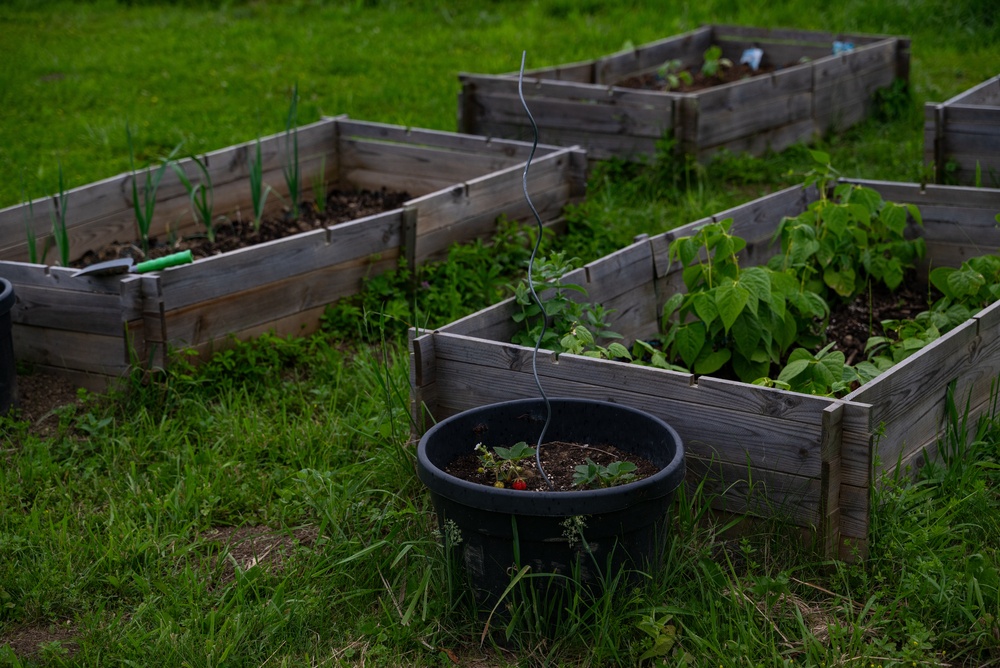 Can You Move a Raised Bed Without Replacing All the Soil?