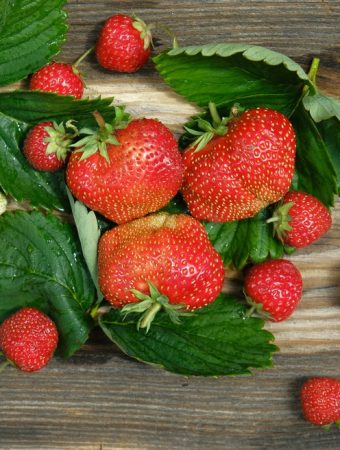 Should You Remove Old Strawberry Leaves After Fruiting?