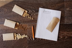saving garden seeds