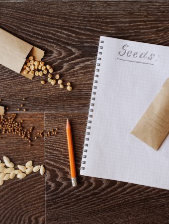 saving garden seeds