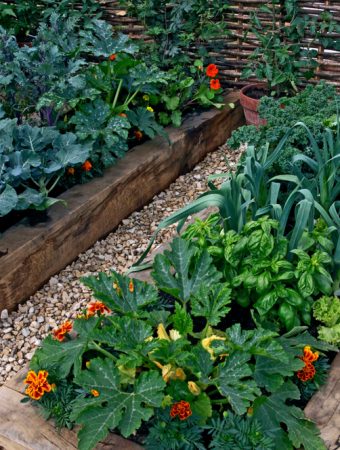 You Don’t Need a Big Backyard to Grow a Meaningful Amount of Food