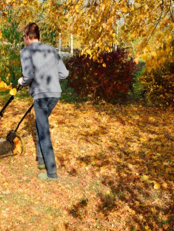 leaving fall leaves on the lawn
