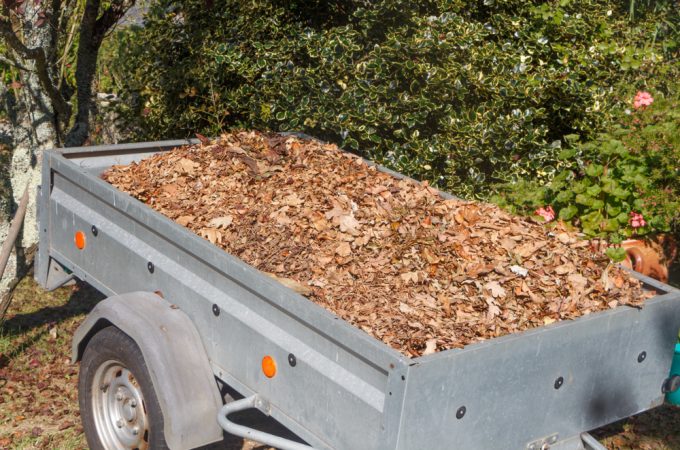 fall garden cleanup