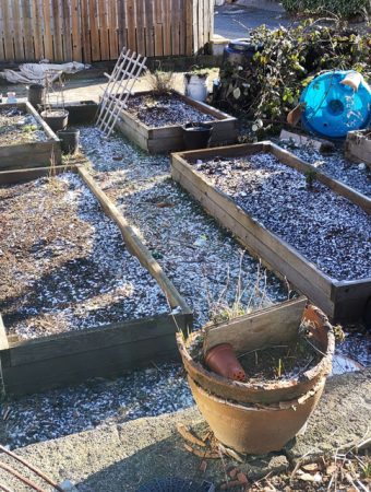 garden soil storage over winter