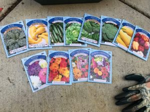 cheap garden seeds