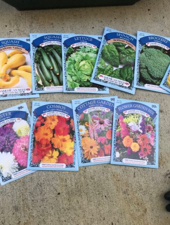 cheap garden seeds