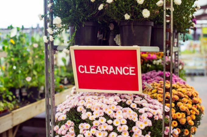 fall garden center