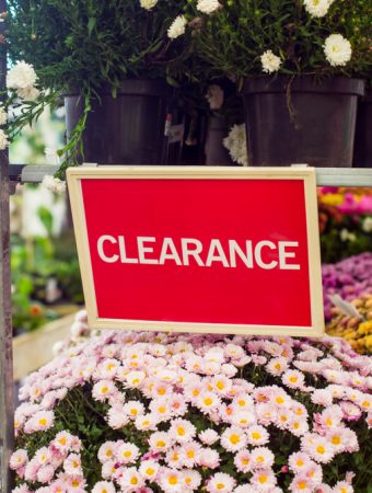 9 Garden Supplies Worth Buying When Stores Start Clearing Summer Inventory
