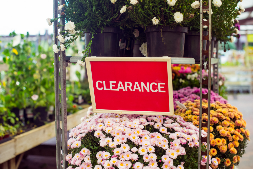9 Garden Supplies Worth Buying When Stores Start Clearing Summer Inventory