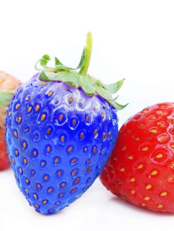 blue strawberry seeds