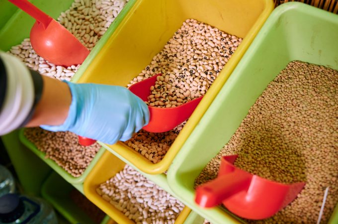 growing grocery store beans